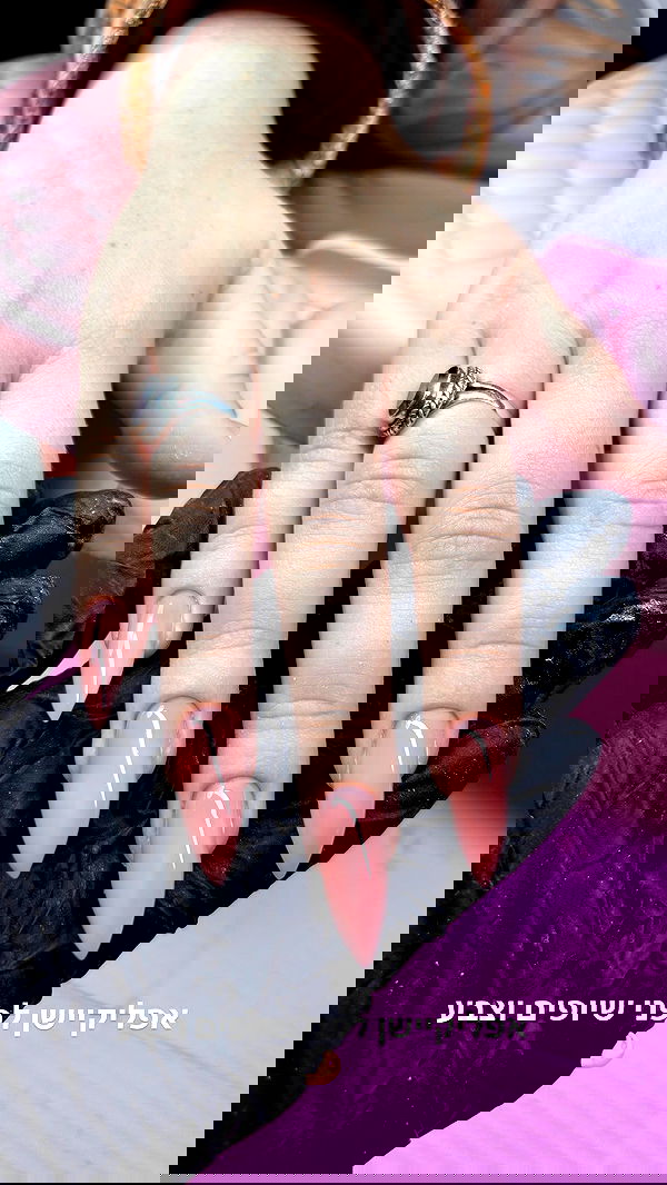 nails.by.natashi nails.by.natashi archive image