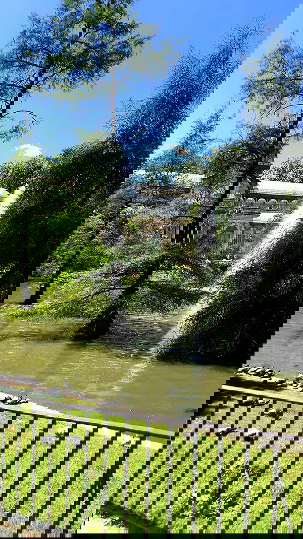 najavamp najavamp archive image