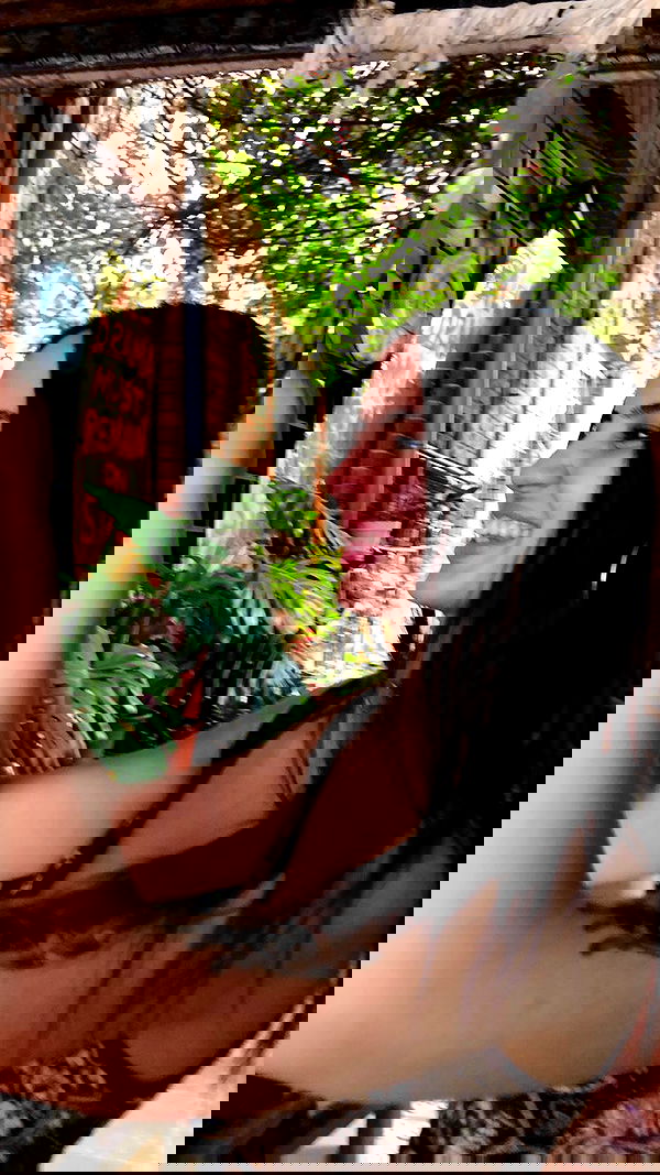 najavamp najavamp archive image