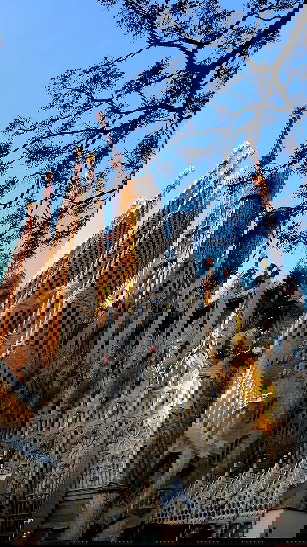 najavamp najavamp archive image