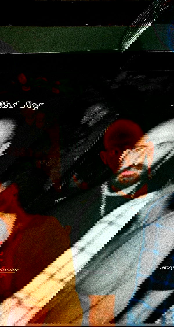 napopo_pub napopo_pub archive image