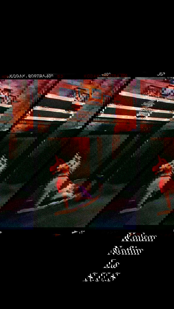 napopo_pub napopo_pub archive image