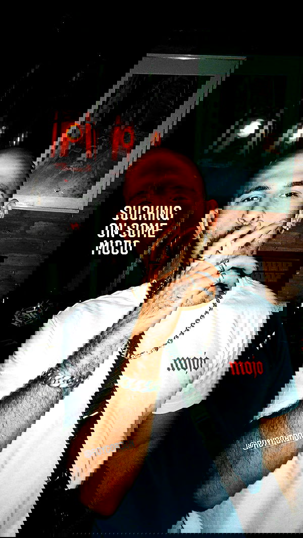 napopo_pub napopo_pub archive image