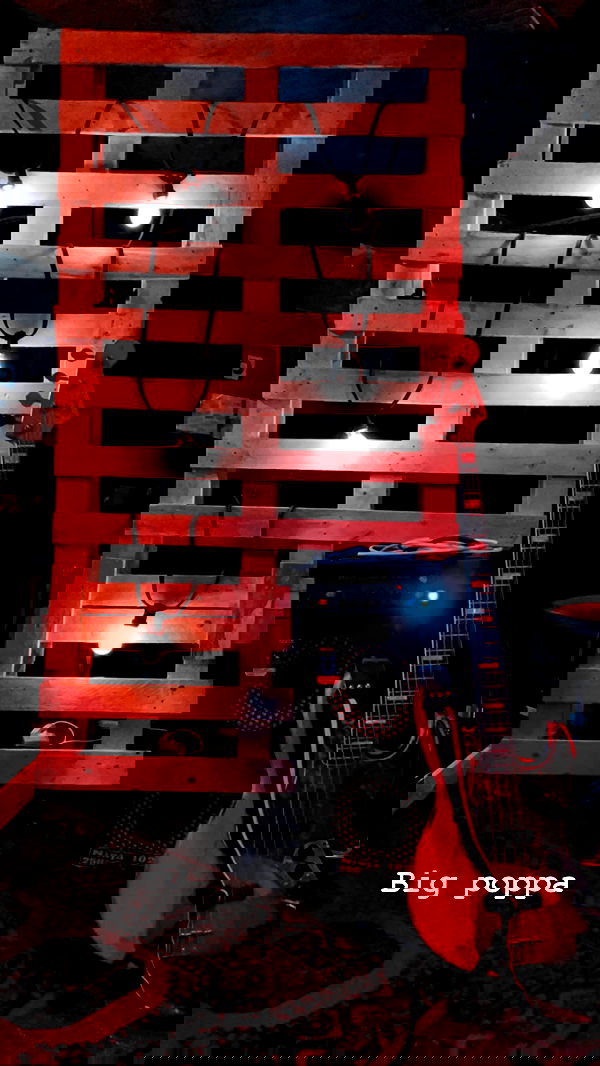 napopo_pub napopo_pub archive image