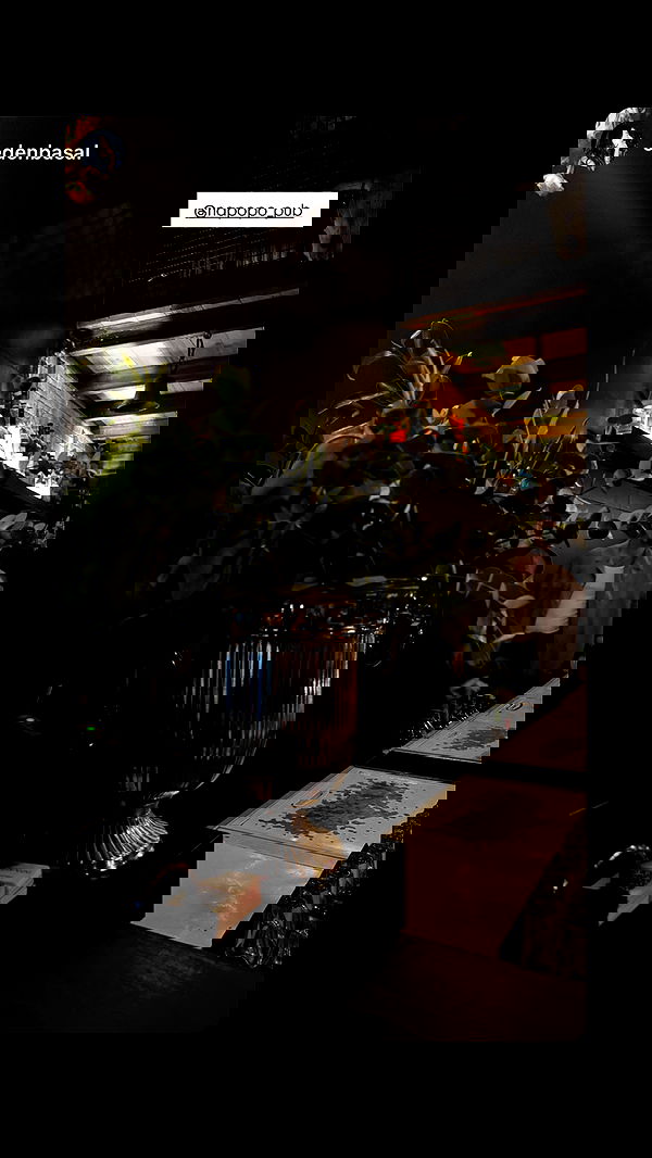 napopo_pub napopo_pub archive image