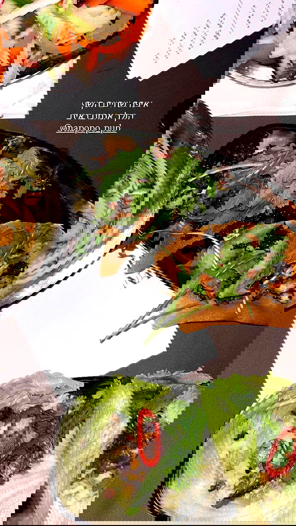 napopo_pub napopo_pub archive image