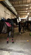 nastya_danillova Altpins Profile Picture