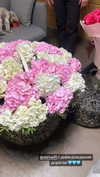 nastya_danillova Altpins Profile Picture
