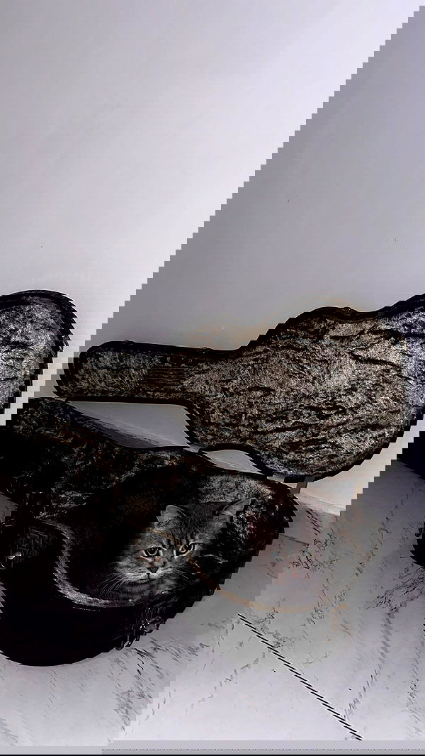 natahalieeee natahalieeee archive image