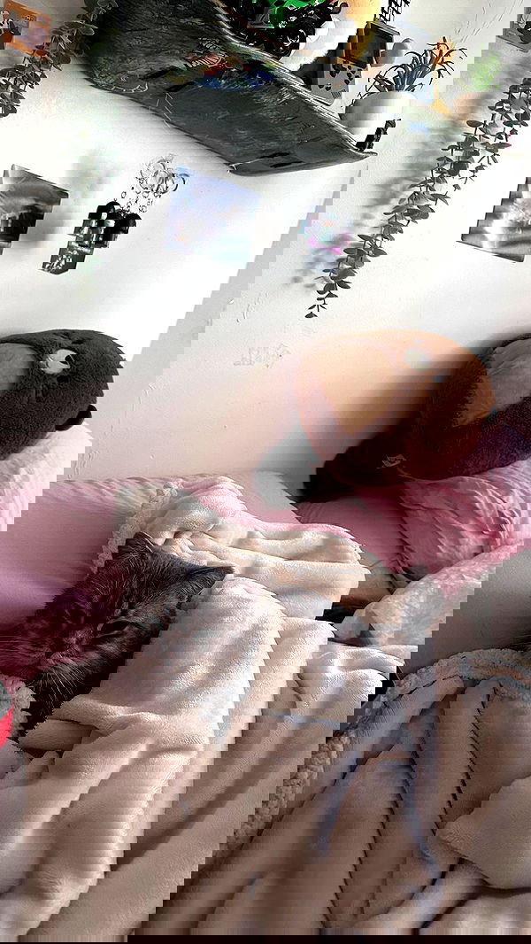 natahalieeee natahalieeee archive image