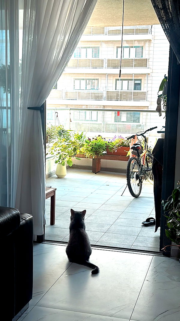 natahalieeee instagram image archive image