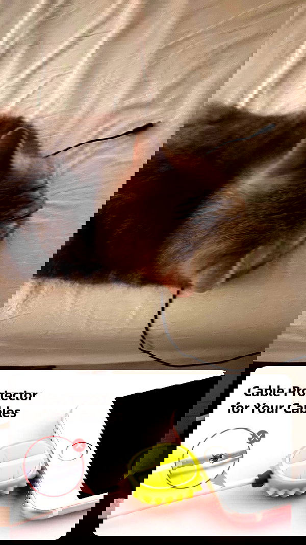 natahalieeee natahalieeee archive image