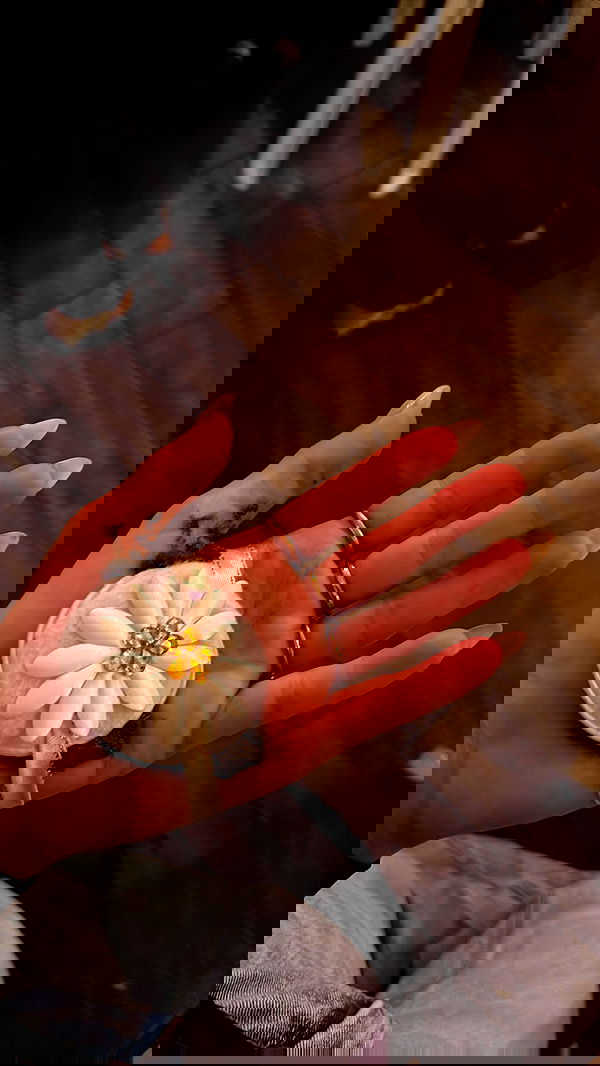 natalllluli natalllluli archive image