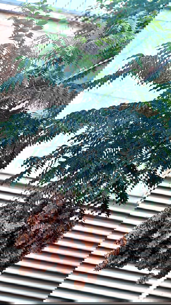 natalllluli natalllluli archive image