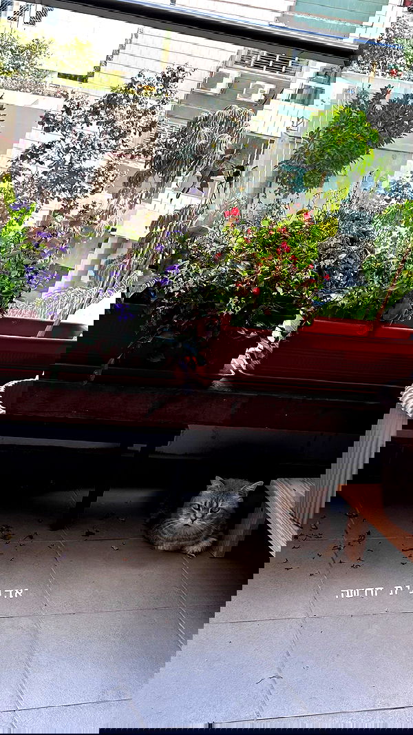 natalllluli natalllluli archive image