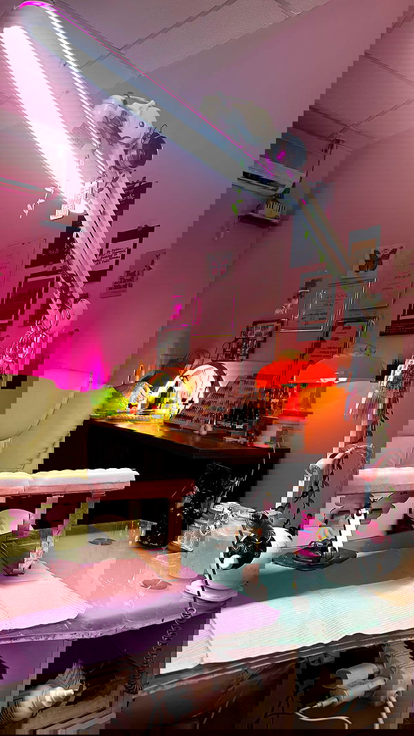 natalllluli natalllluli archive image