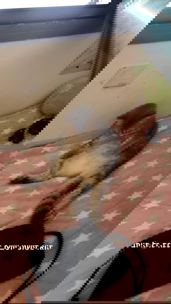 natalllluli natalllluli archive image