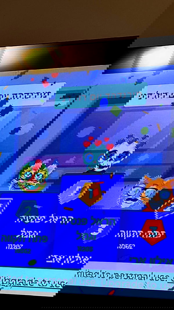 natalllluli natalllluli archive image