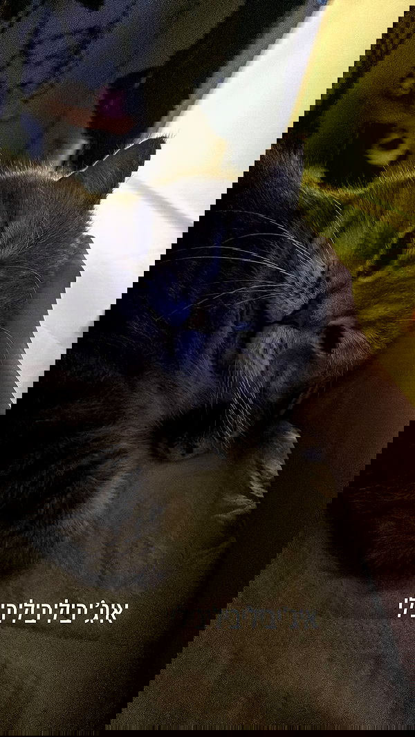 natalllluli natalllluli archive image