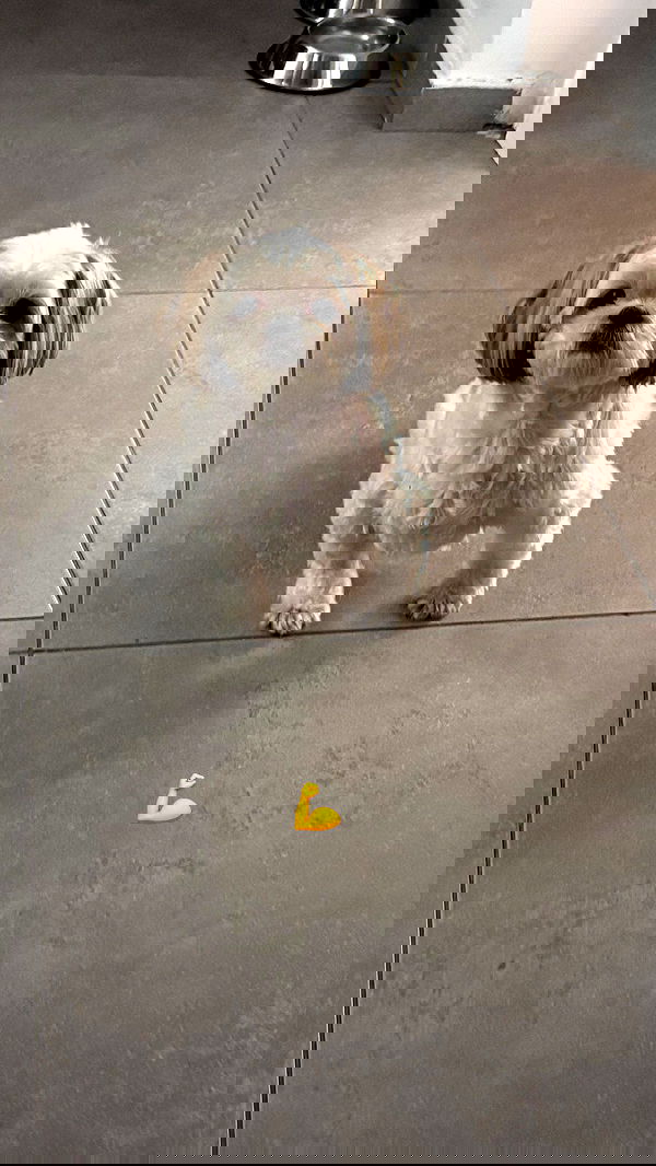 natalllluli natalllluli archive image