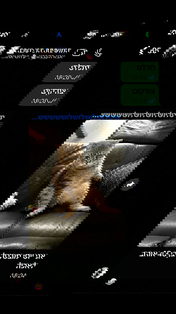 natalllluli natalllluli archive image