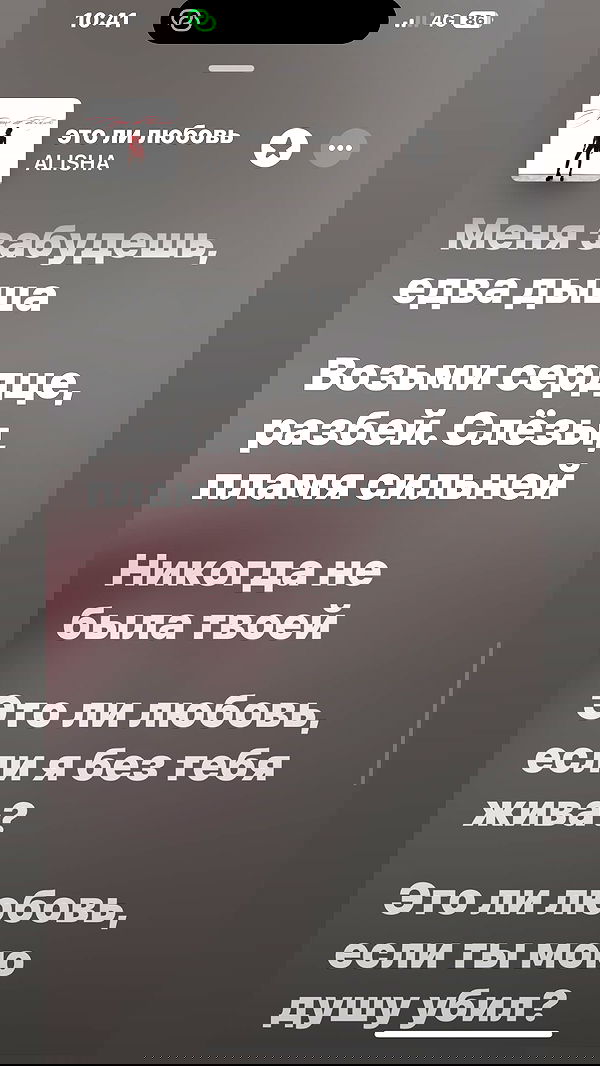 natalllluli natalllluli archive image