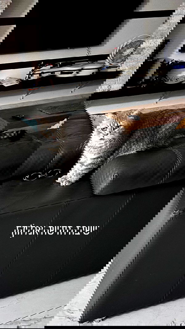 natalllluli natalllluli archive image