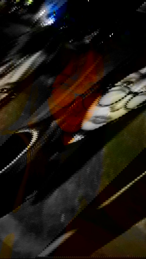 natalllluli natalllluli archive image