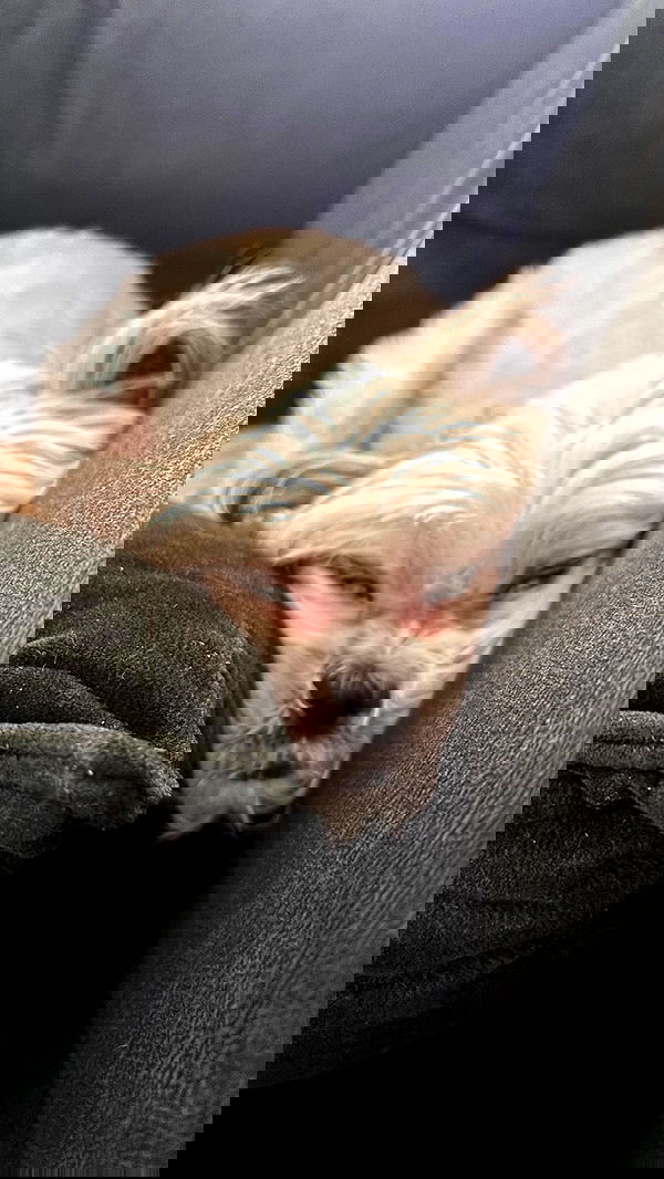 natalllluli natalllluli archive image