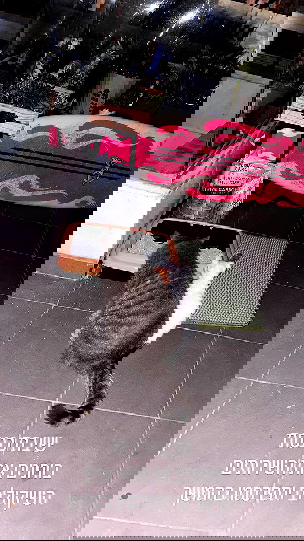 natalllluli natalllluli archive image