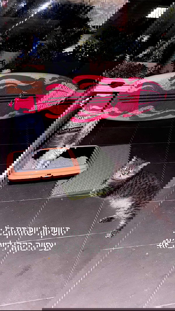 natalllluli natalllluli archive image