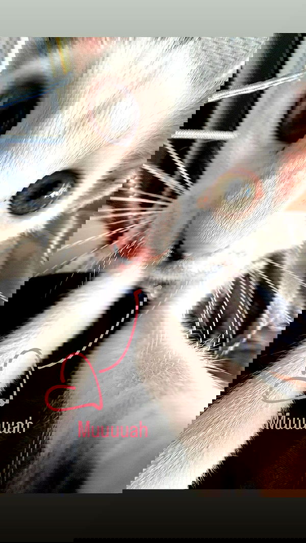 natalllluli natalllluli archive image