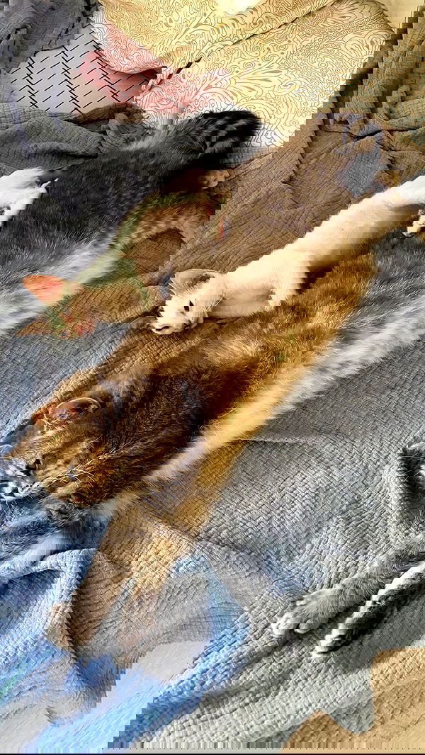 natalllluli natalllluli archive image