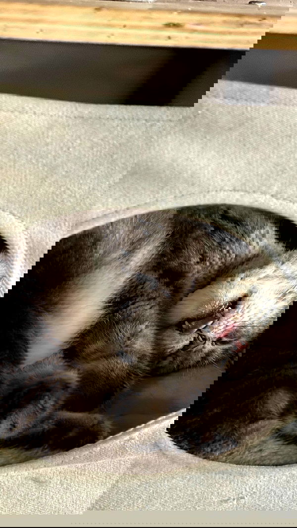 natalllluli natalllluli archive image