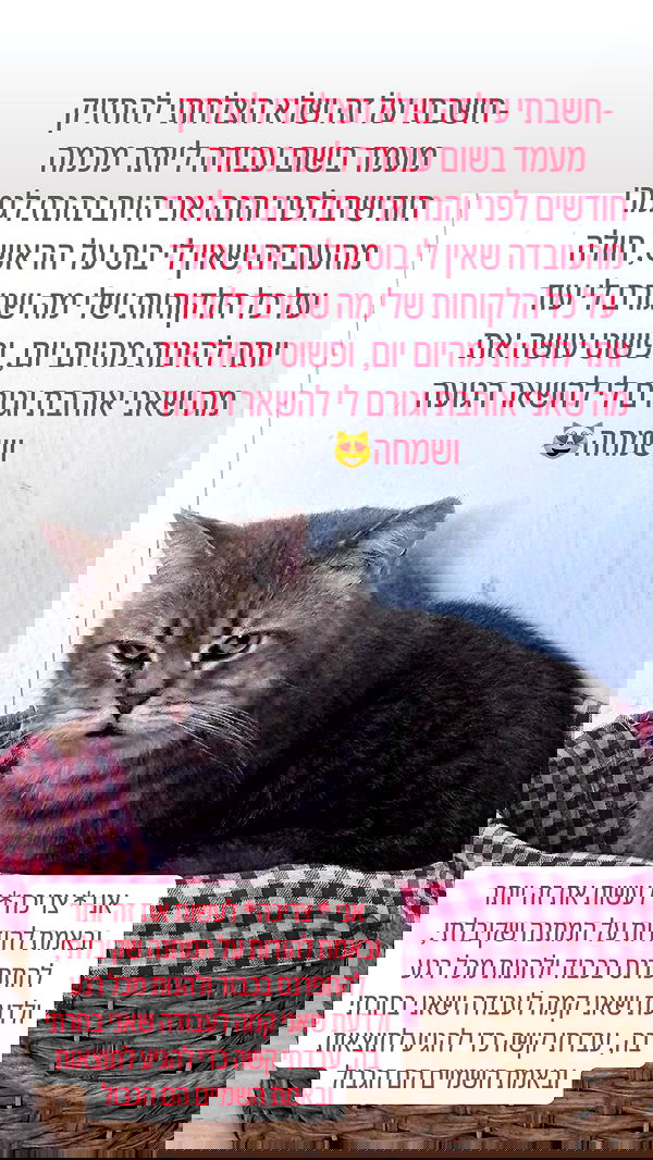 natalllluli natalllluli archive image