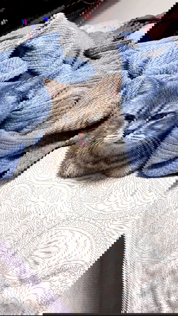 natalllluli natalllluli archive image