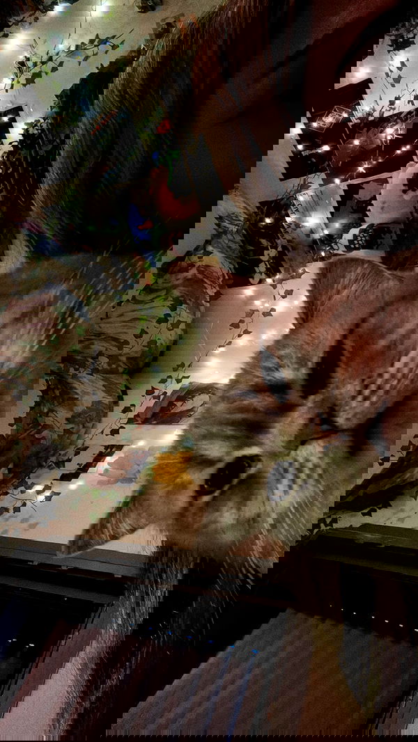 natalllluli natalllluli archive image