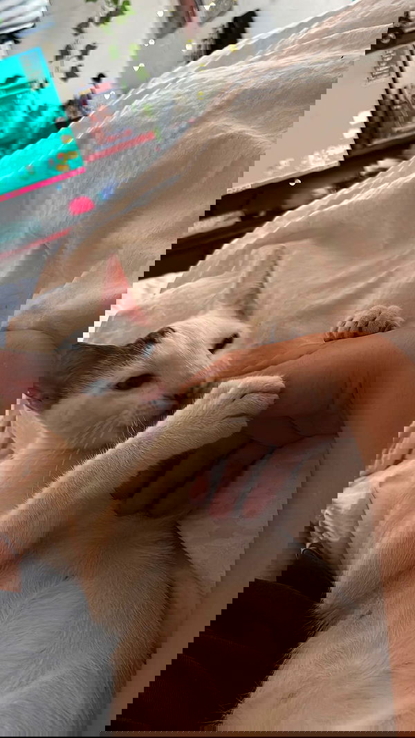 natalllluli natalllluli archive image