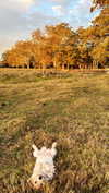 nathalie_doyle Altpins Profile Picture