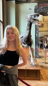 nefariouslarratt Altpins Profile Picture