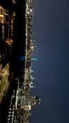 nefariouslarratt Altpins Profile Picture
