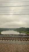 nefariouslarratt Altpins Profile Picture