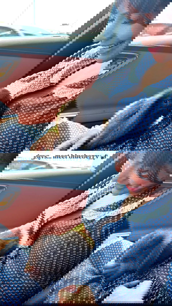 neiimaaa neiimaaa archive image