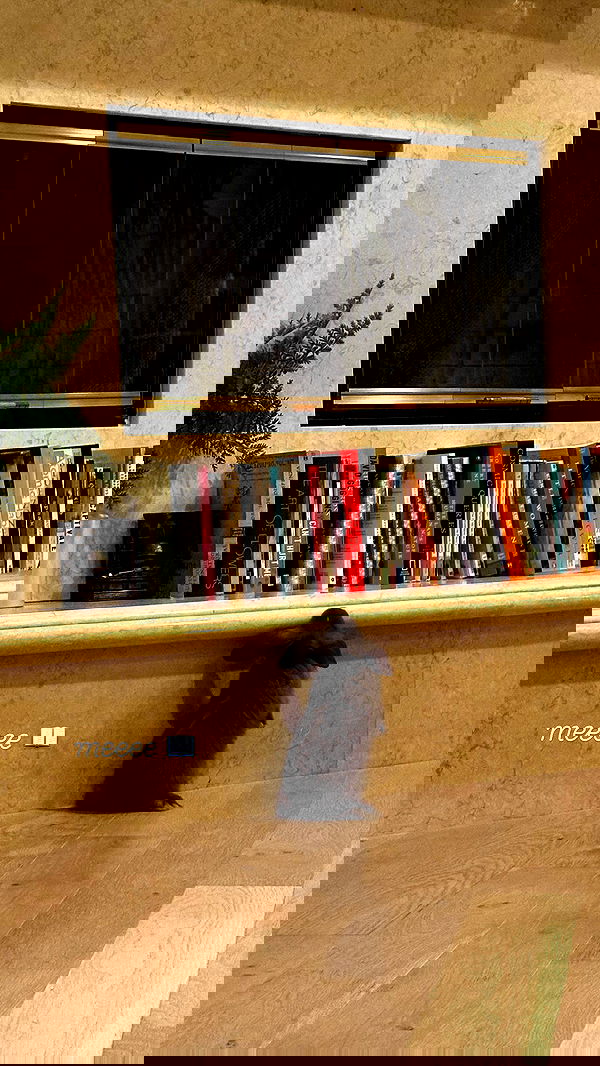 neiimaaa neiimaaa archive image