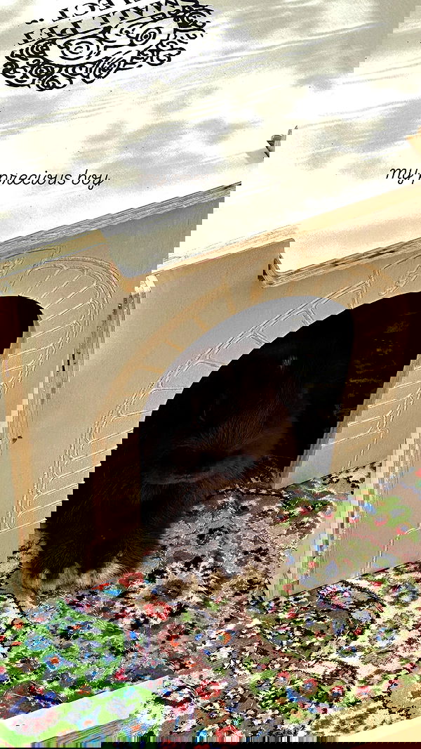 neiimaaa neiimaaa archive image