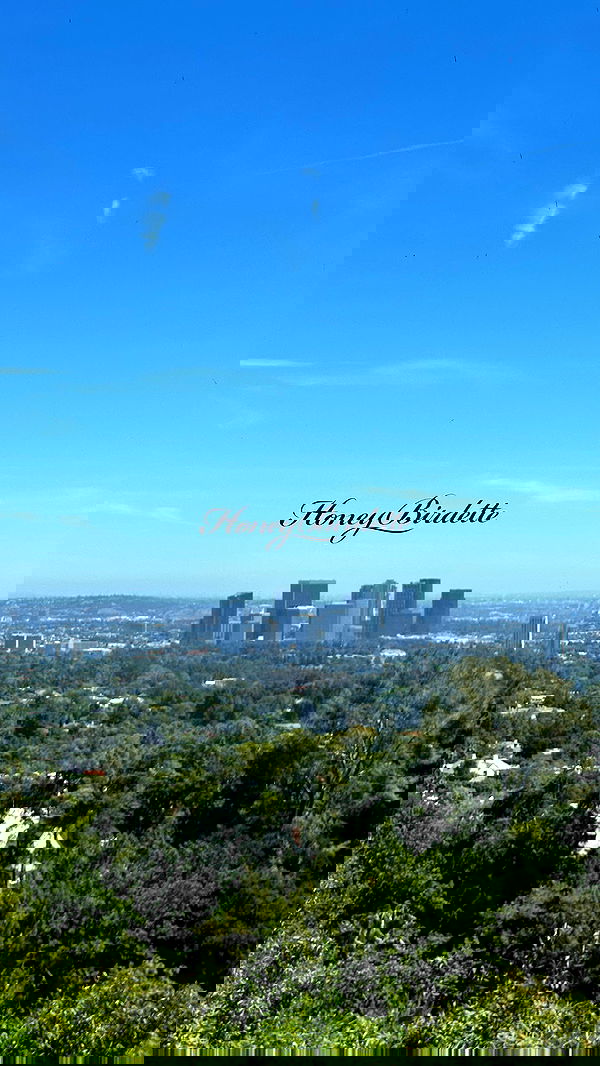 neiimaaa neiimaaa archive image