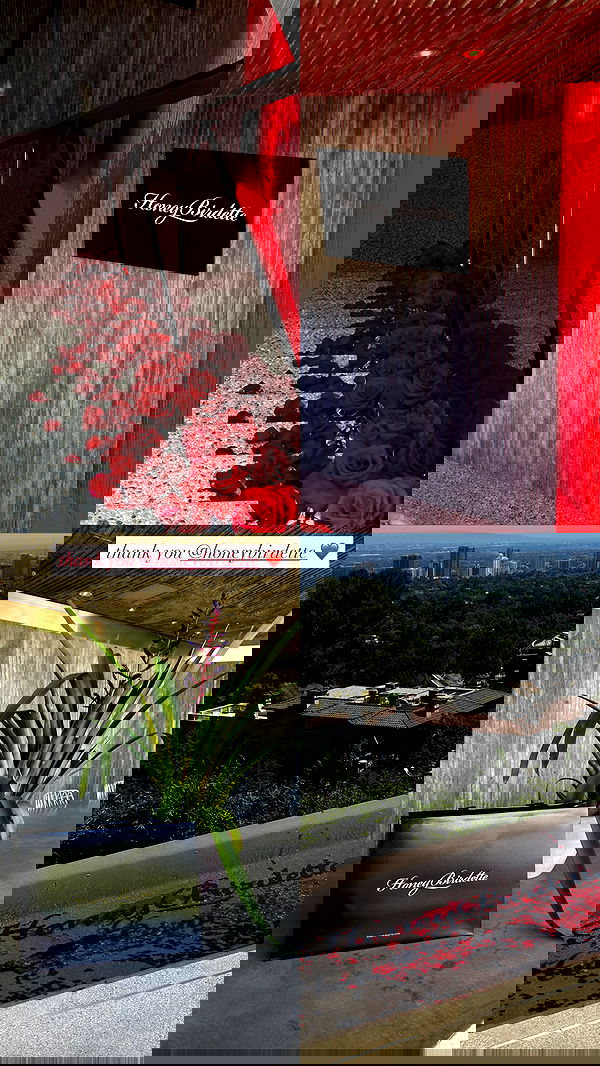 neiimaaa neiimaaa archive image