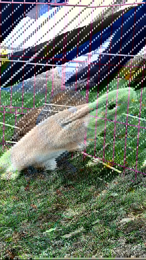 neiimaaa neiimaaa archive image