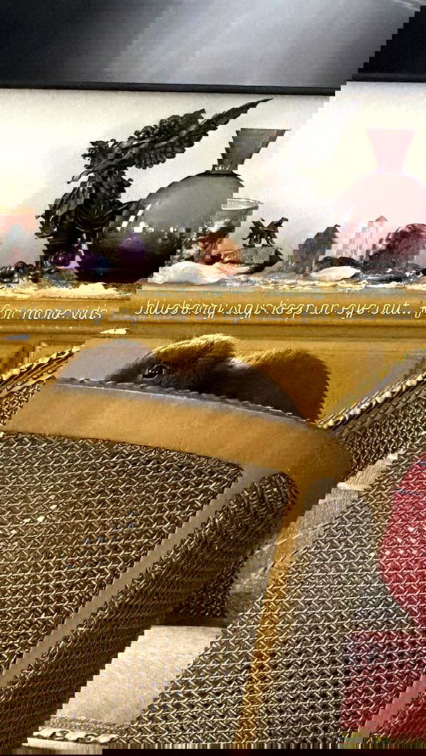 neiimaaa neiimaaa archive image