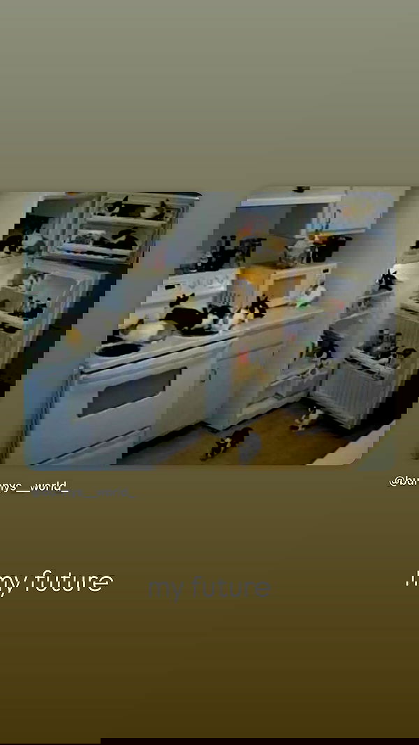 neiimaaa neiimaaa archive image